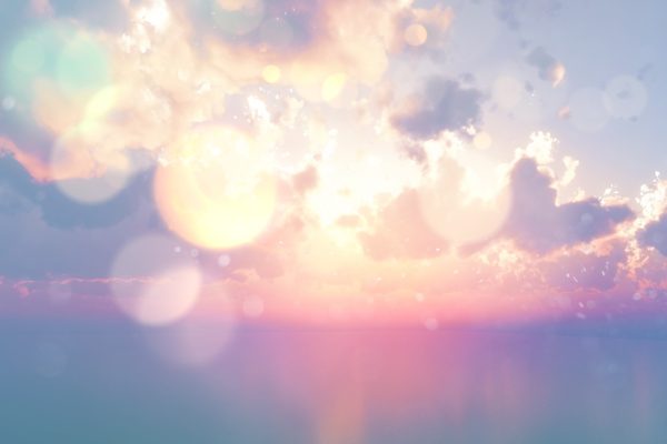 Webサイトを制作させていただきました -もしものおまもり-  Emergency Contraception Pill Guide